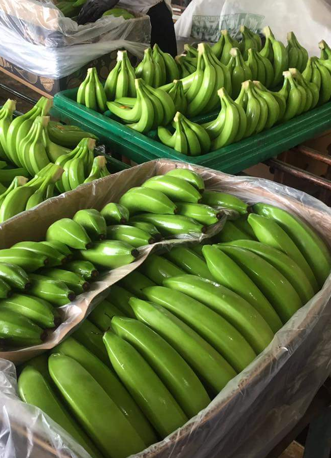 Prowadzimy sprzedaż bananów i różnego rodzaju owoców po więcej zapytań kontakt