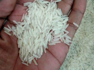 1121 Sella Basmati Ryż długoziarnisty Premium Opakowanie: 10 kg
