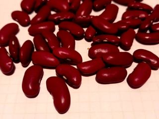 Sprzedaję fasolę, odmiana amerykańska, uprawiana na Ukrainie, od producenta