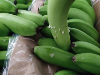 Из Турции оптом продажа Бананов!!!! Мы продаем нашу продукцию