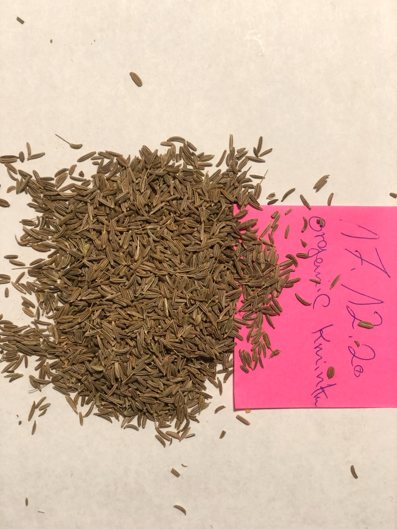 Mamy do sprzedania ekologiczne nasiona kminku klasy A Oferujemy również ekologiczną kozieradkę Ekologiczną majeranek Organiczny hibiskus Organiczny rumianek /