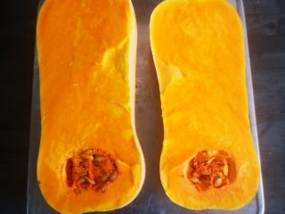 Dynia piżmowa butternut. Kal 1-3 ilość ok 3 ton