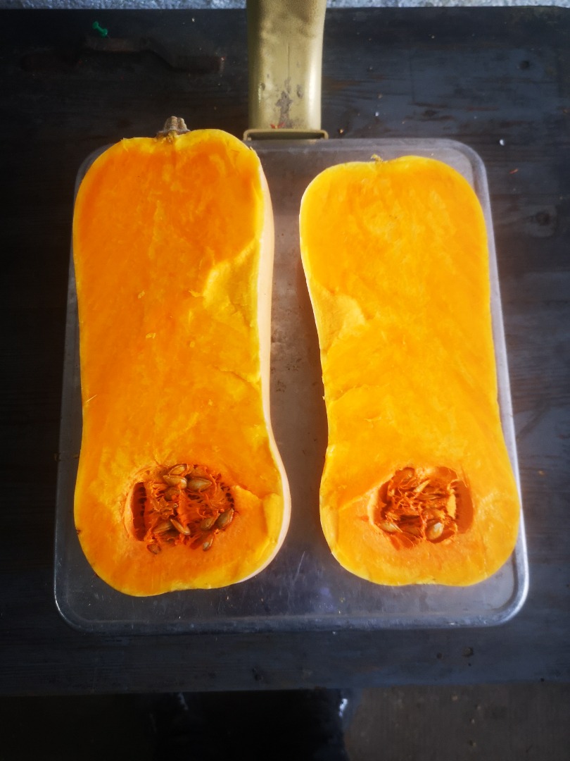 Dynia piżmowa butternut