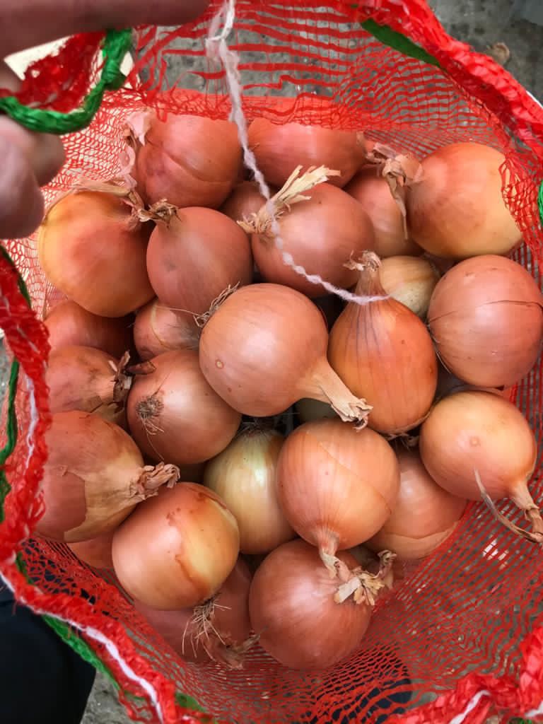 Sprzedaż od producenta, pełen pakiet dokumentów, dostawa autem i koleją, dowolna cena do faktury, dowolna forma płatności