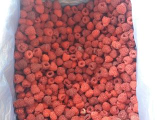 Malina mrożona 80/20 (rolend), opakowanie 12kg.