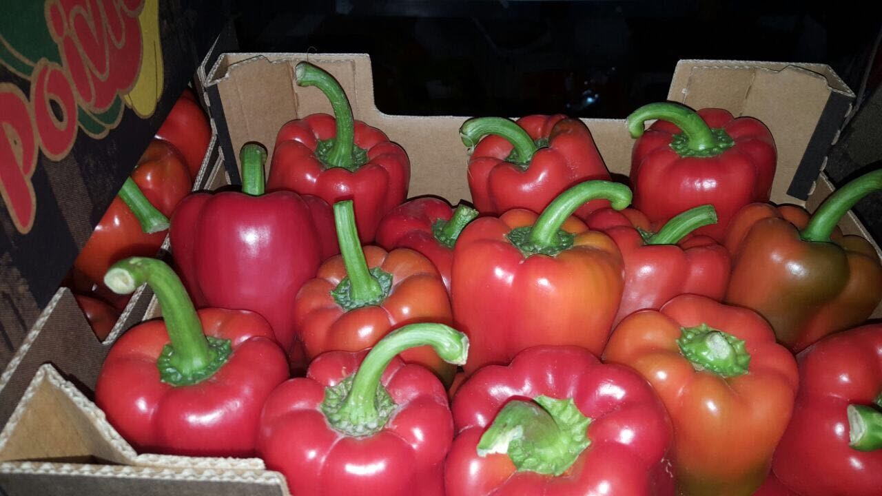 Na sprzedaz Papryka California Czerwona, cat 1, 80+, 5 kg carton