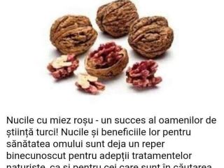 Sprzedaję jądro orzecha tureckiego czerwonego za maksymalnie 10 kg