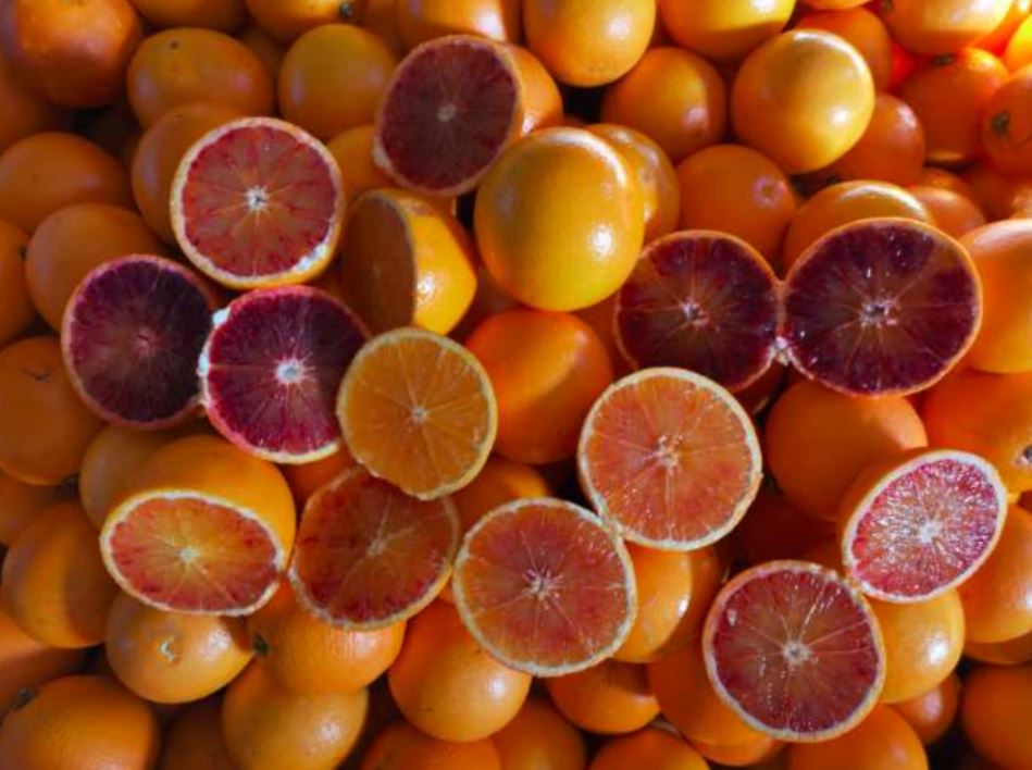 W bieżącej ofercie pomarańcze czerwone Tarocco /Moro oraz cytryny Primafiore w opakowaniach Najbliższa dostawa ok 20.03.21 : - Pomarańcze czerwone na sok