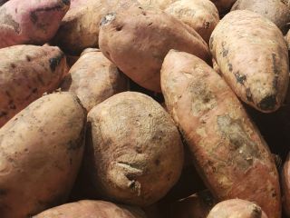 BATATA Dominicana. Regionalnie znany również jako boinato lub camote.