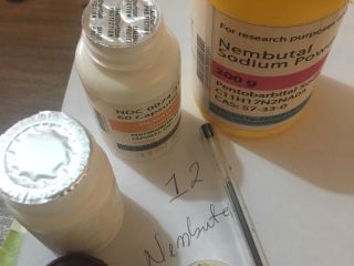 Sprzedam Nembutal Pentobarbital Sodium Dostarczamy najwyższej jakości pentobarbital w
