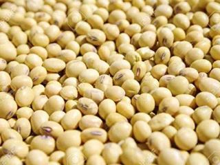 Jesteśmy EKTOSAM MULTIPURPOSE COMPANY LTD, Nasze organiczne produkty Agro,