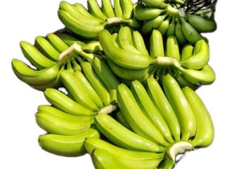 Zaopatrzenie w banany - Dostawcy hurtowi Banan jest jednym