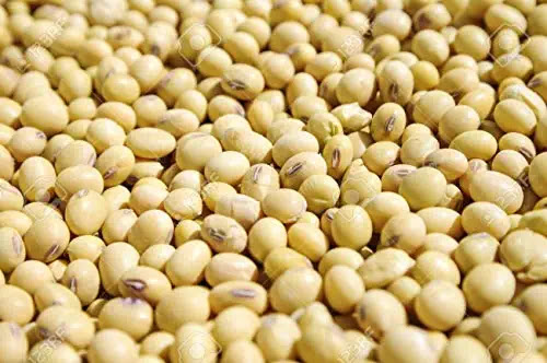 Jesteśmy EKTOSAM MULTIPURPOSE COMPANY LTD, Nasze organiczne produkty Agro, takie jak ekologiczna soja, pszenica, proso, kukurydza, imbir, czosnek na sprzedaż