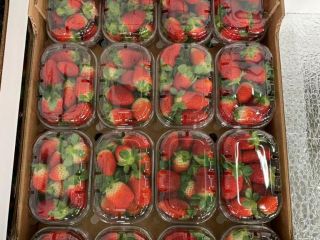 Продажи клубники начались !! Продажи клубники начались ! Упаковка