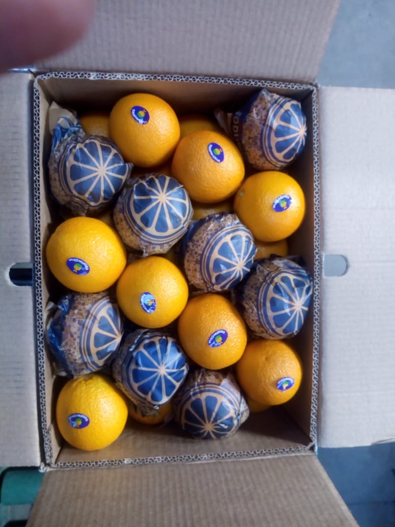 Orange Valencia: karton - 14,5 kg, 1664 pudełka, waga netto pojemnika - 24128 kg