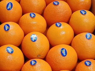 Eksport produktów ekologicznych Eksport Specjalizujemy się w dziedzinach rolnictwa,