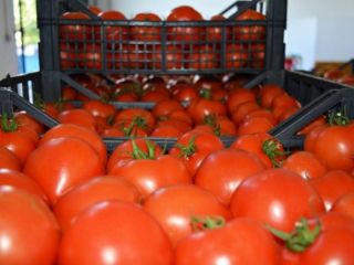 Produkt posiada atest do sprzedaży w całej Europie, jest