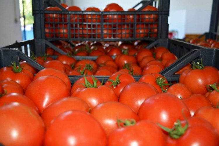Produkt posiada atest do sprzedaży w całej Europie, jest w najlepszej cenie w całej Europie