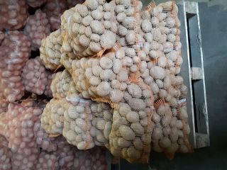 Sprzedam ziemniaki jadalne odmiana Wineta- ziemniaki bardzo smaczne z