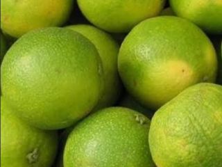 Świeże, organiczne cytryny z Ugandy