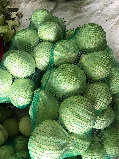 Kapusta biała 1 klasa Waga głowy: od 0,8 kg do 6,0 kg Różna forma główek, nieznaczne różnice w kolorze i drobne wady liści