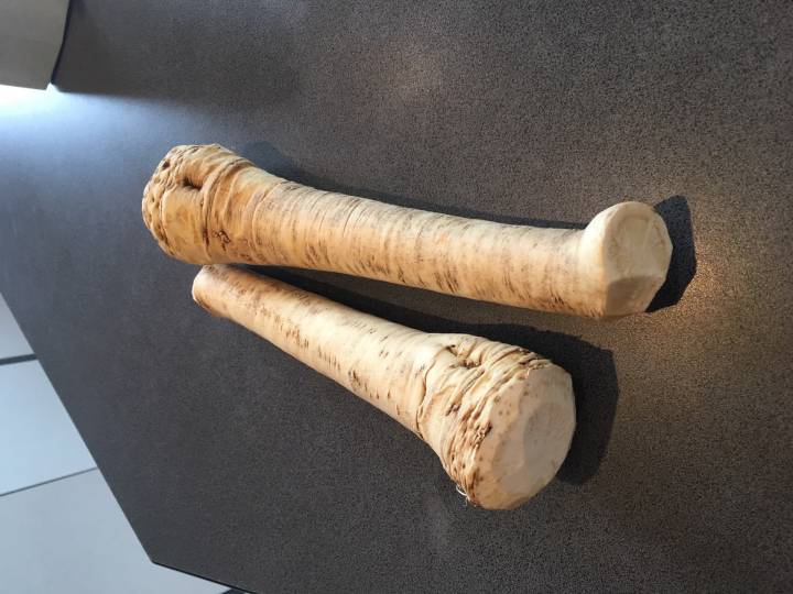 Chrzan pochodzi od węgierskich producentów z Hajdúság