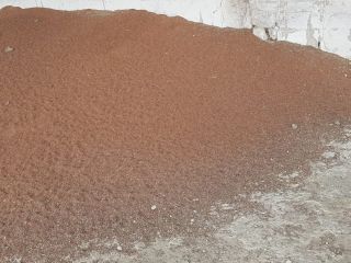 Sprzedam sorgo i jęczmień pastewny, idealny na paszę dla