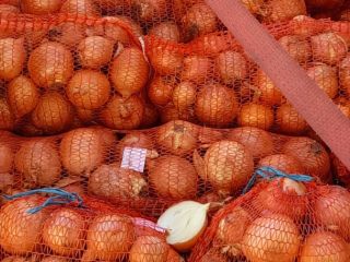 Cebula, 23000 kg Więcej informacji można uzyskać pod numerem