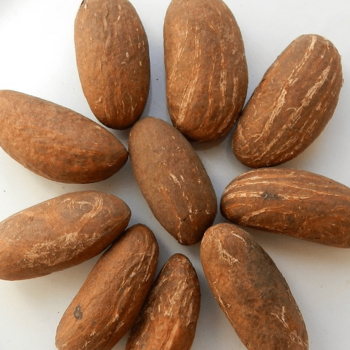 Viber / Informacje o produkcie Fresh Bitter kola Bulk Garcinia Wholesale Price Badania współczesnej nauki wykazały, że gorzka kola zawiera związki chemiczne