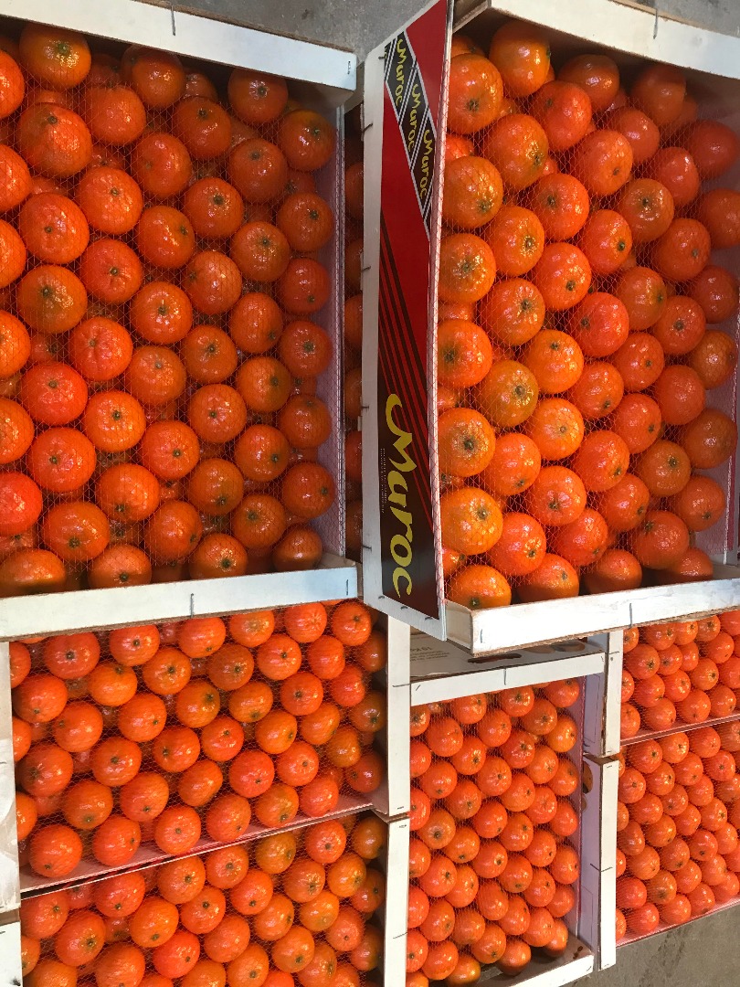 „AGRUMCO to firma rodzinna, zlokalizowana w mieście Beni Mellal w Maroku, zajmująca się produkcją, pakowaniem i sprzedażą certyfikowanych świeżych owoców
