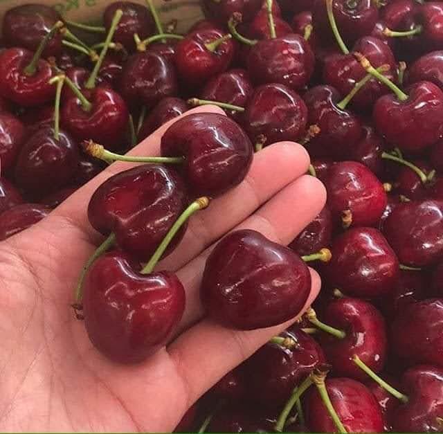Wiśnie duże są sprzedawane w pudełkach po 2kg w każdej klasie A + dzięki czemu są lepiej zachowane Rozmiar 28+ 6,50 € za kg + VAT rozmiar 30+ 7 € + VAT Ceny