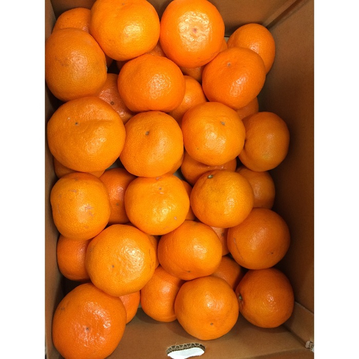 Produkt Świeży pępek Pomarańczowy pochodzenie Turcja Temperatura w pojemniku 3-5 stopni Celsjusza Okres przydatności do spożycia 5-6-miesięczne opakowanie