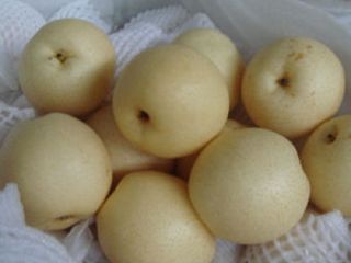 Nazwa produktu Su Pear Miejsce pochodzenia Turcja Marka OEM