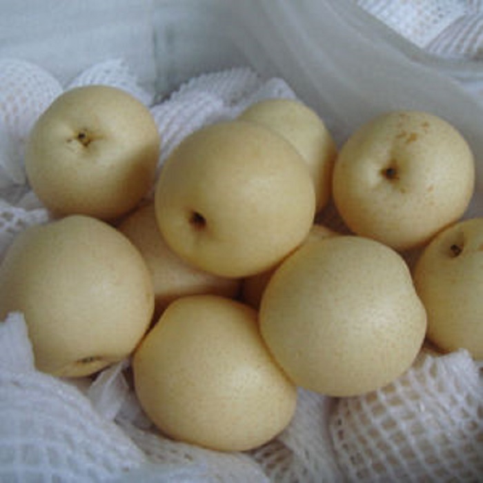 Nazwa produktu Su Pear Miejsce pochodzenia Turcja Marka OEM Przechowywanie 0 ~ 3 ° C Rozmiar 18/20/22/24/36/40/44/48/72/80/96 Konwergencja 1 * 40'FCL Pakowanie