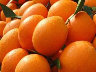 wartość przedmiotu Styl Rodzaj produktu świeżego Rodzaj cytrusów Typ