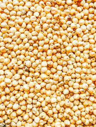 Sorgo czerwono-białe Wilgotność - max