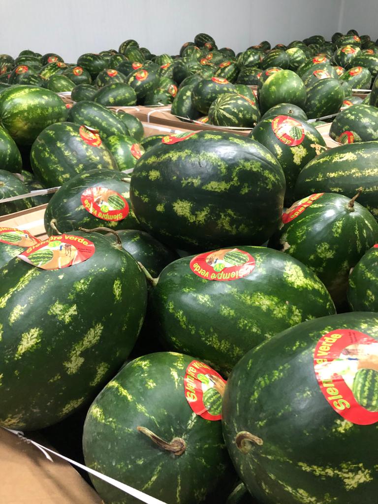 Arbuzy produkowane w Maroku
