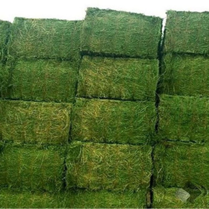 Wysokiej jakości bele lucerny Waga: 750 i 800 kg - 400 kg (na zapytanie) Długości: 2,20 - 2,30 m Szerokość: 1 - 1,1 m Wysokość: 80 m Białko: min 17% - min 18%