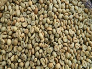 Gatunek: AAA Certyfikat hurtowy Arabica Kawa ziarnista Marka: oem