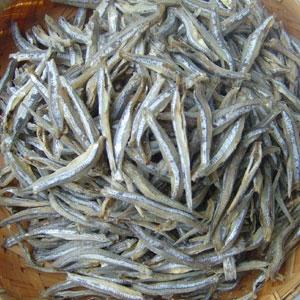 Jesteśmy niezawodnym dostawcą różnorodnych produktów z owoców morza, zwłaszcza suszonych ryb, takich jak Round Scad Fish, Yellow Stripe Fish, Krewetki, Baby