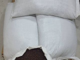 Oferujemy suszonego jastrzębia. Jakość, najpierw brak obcych cząstek, zapałek,