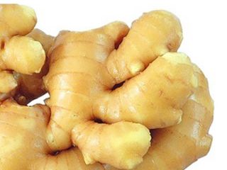 Produkt Świeży młody i stary imbir (nowe uprawy 2020