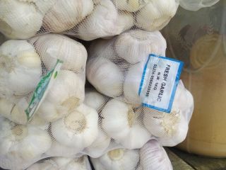 Czosnek (Allium sativum) jest szeroko stosowany jako przyprawa w
