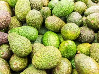 Avodako Hass HS CODE: 8044000 Rozmiar: 12,14,16,18,20 Pakowane: 4kg/karton