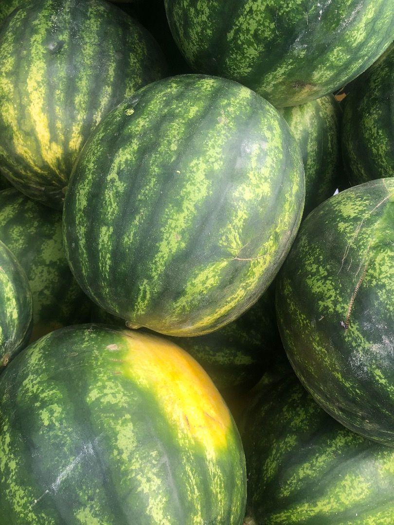 Sprzedaję melony