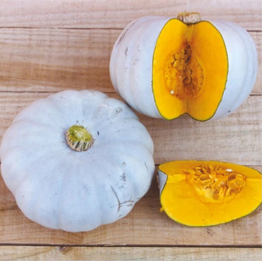 Różnorodność dyni: Cucurbita maxima