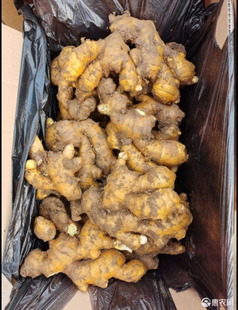 Imbir z Chin, jest to produkt ekologiczny, są różne poziomy jakości, więc cena jest również różna w zależności od jakości, sprzedajemy również orzechy