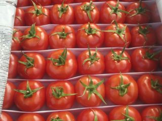 Soczyste owoce; Warzywa mięsiste; Produkty z roślin strączkowych i