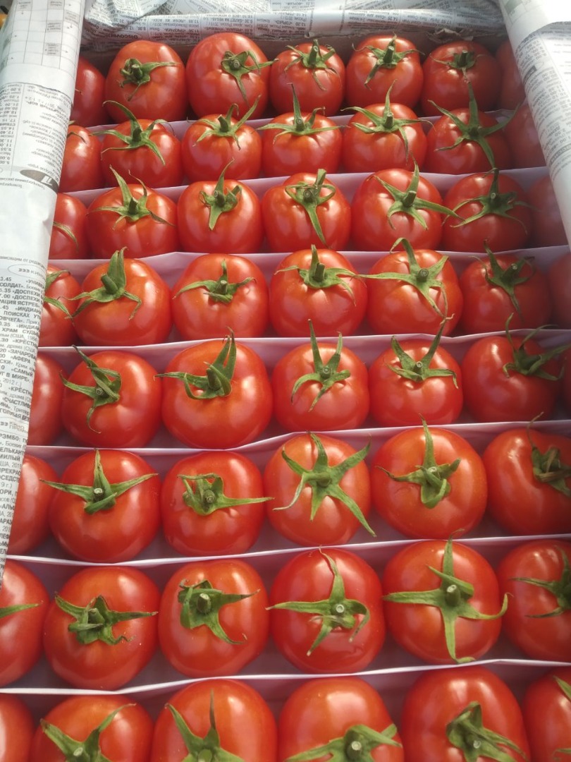 Soczyste owoce; Warzywa mięsiste; Produkty z roślin strączkowych i suszone bogate w witaminy, białka i wszystkie inne składniki odżywcze; Produkty z pulchnego