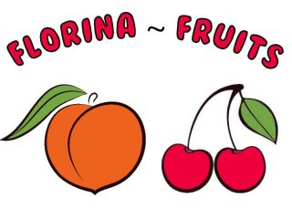 FIA GOGOT FRUIT TO FIRMA Z GRECJI, KTÓRA OFERUJE